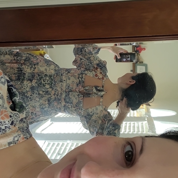 *NWT* Moon River, Size L Spring Dress - Picture 3 of 6